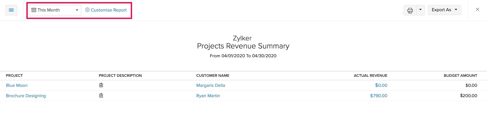 项目收入总结报告