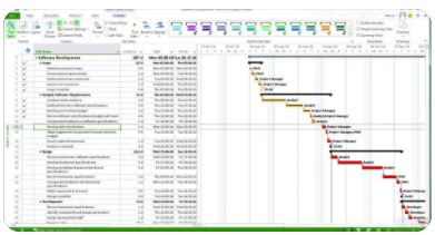 Microsoft Project