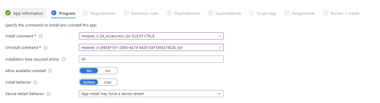 MSI 安装程序的安装命令在“程序”部分中输入。