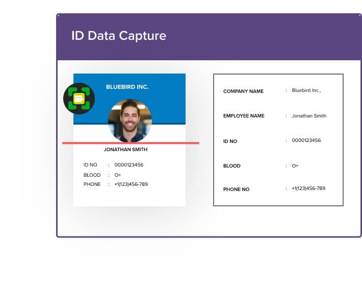 带 OCR 技术的 AI 辅助数据集合