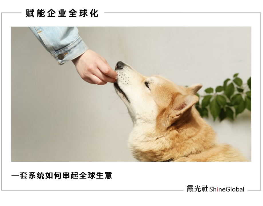 28个生产基地、90个国家：中宠股份如何打赢全球化硬仗