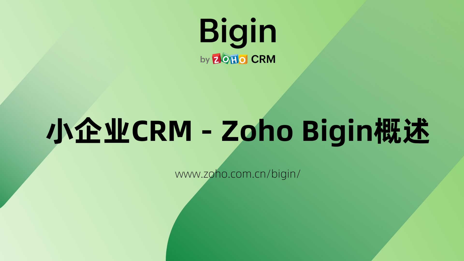 zoho bigin概述